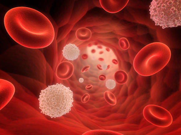 Low Red Blood Cell Count Causes Symptoms And Treatments New Health